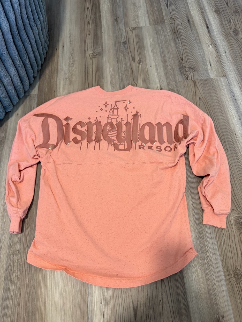 Disneyland spirit jersey